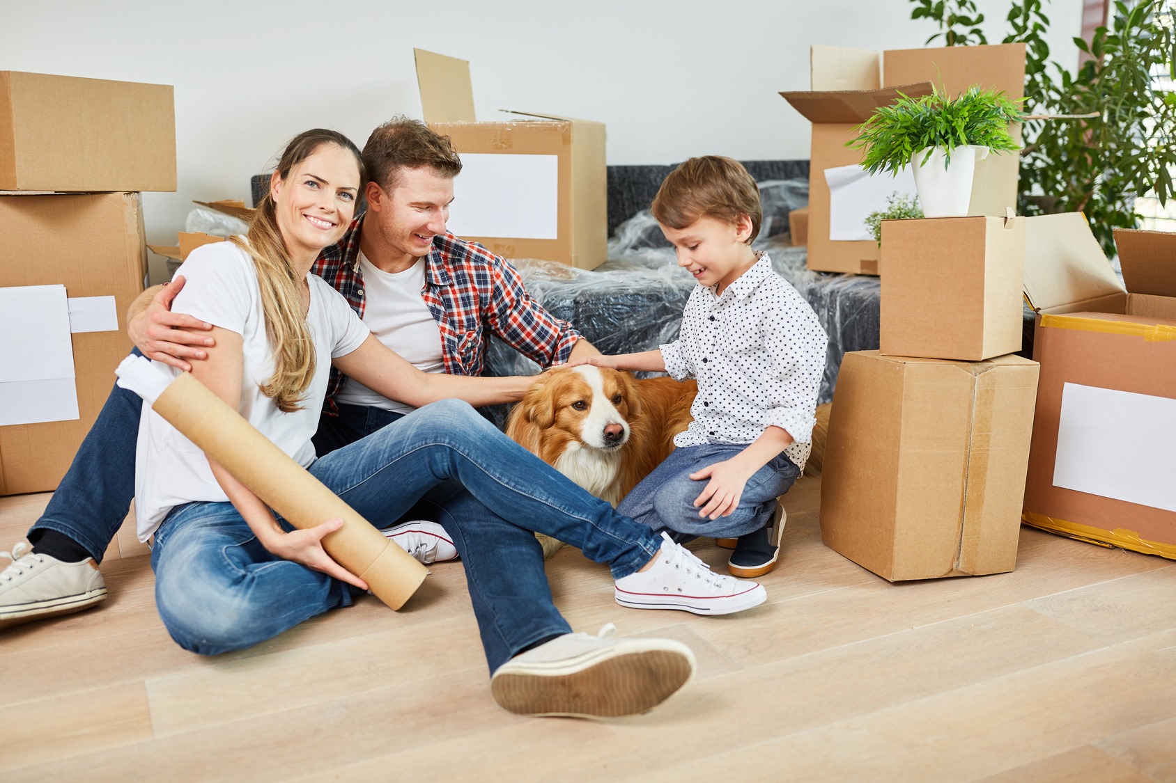 Moving home with pets