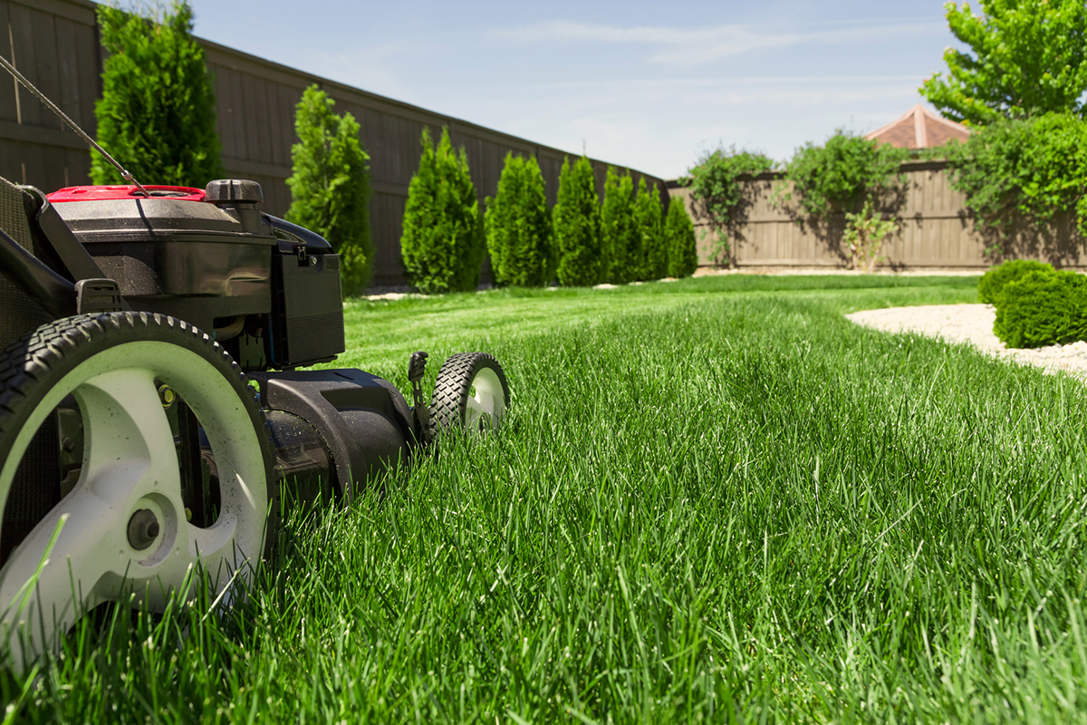 10 Quick Ways To Spruce Up Your Garden Before Putting Your Property Up For Sale