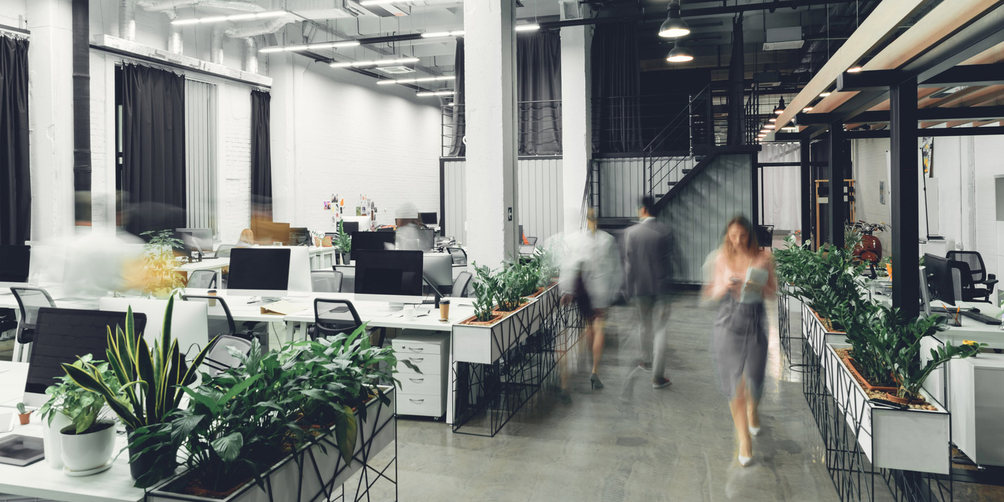 How To Create The Ideal Office Space Where Employees Thrive