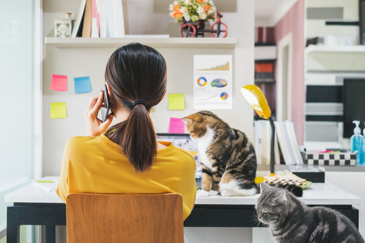 Up Your Working From Home Game With These Home Office Tips