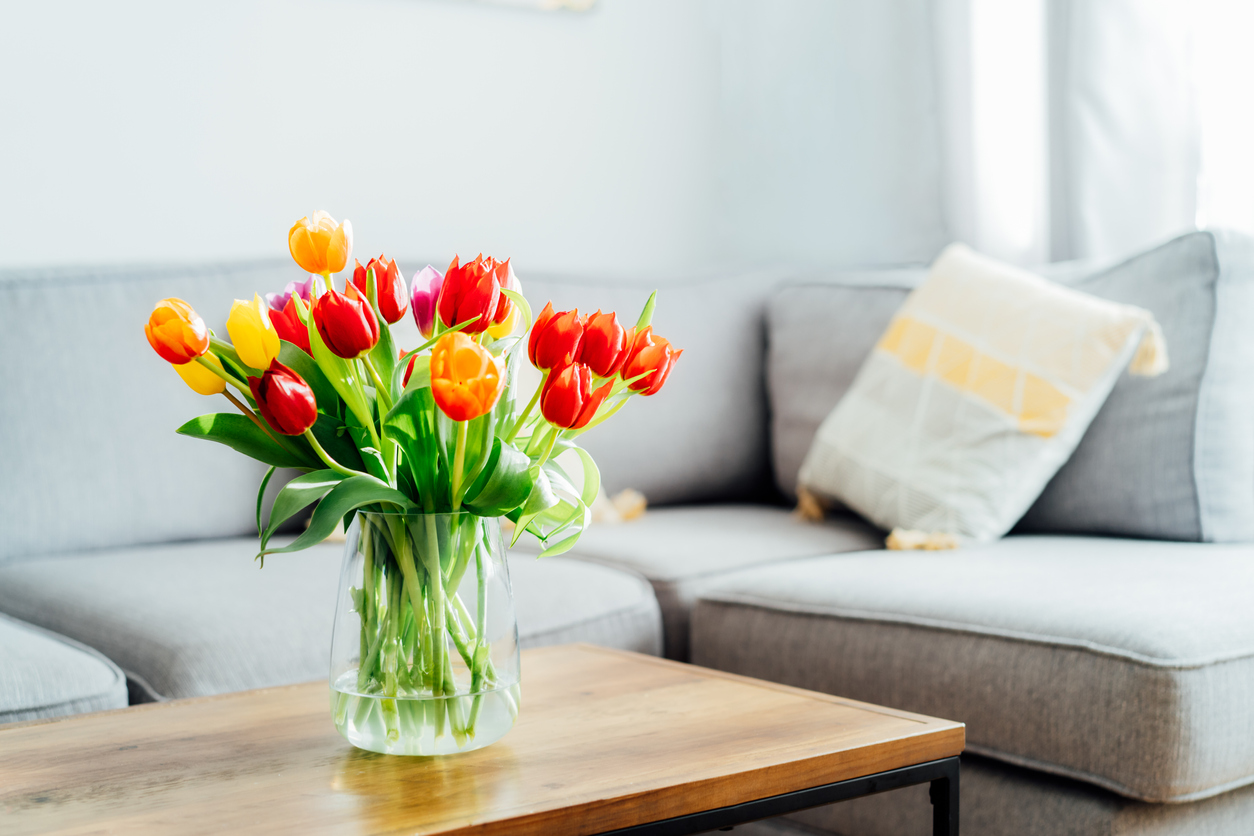 Fresh flowers and plants in the home